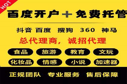 SEM运营推广策略：成功案例解析